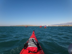 DSC03534